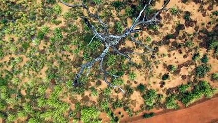 Calls for referendum on Indigenous Voice to Parliament