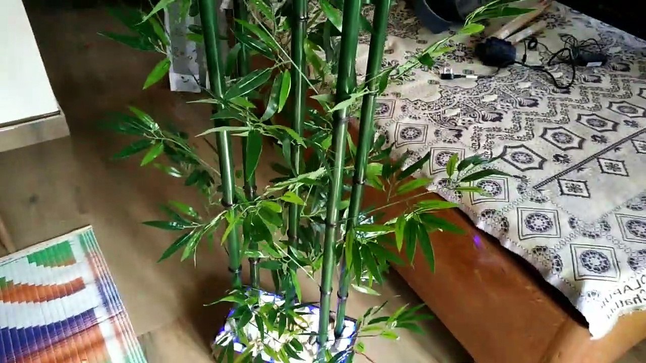 Next Flight Review: Business Class On Bamboo Airways Airbus A321Neo