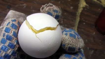 Sıvı nitrojenin içine yumurta kırdılar!