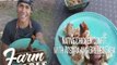 Farm To Table: Native Chicken Confit with Atsara and Grilled Saba