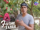 Farm To Table: Refreshing fruits to try in Uma Verde Farm!