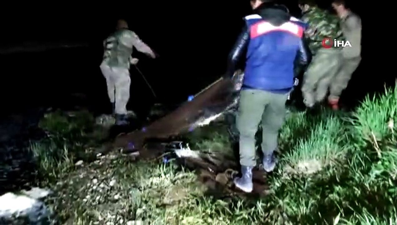 Van Gölü'nde kaçak avlanan 16 bin 200 ton inci kefali ele geçildi