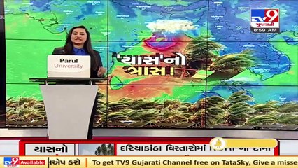 下载视频: Strong winds and heavy rain hit Odisha as Cyclone Yaas nears landfall _ TV9