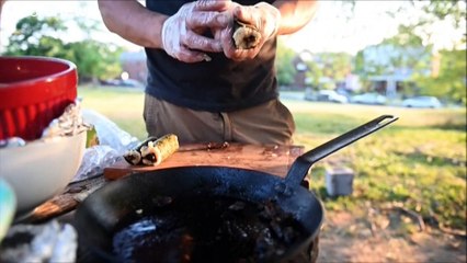 مليارات حشرات "الزيز" تظهر من تحت الأرض في الولايات المتحدة وقد تكون غذاء مفضلا