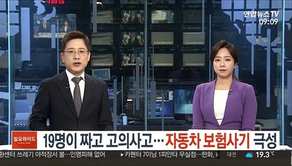 19명이 짜고 고의사고…자동차 보험사기 극성