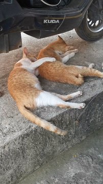 Yung Walang Paki Ang Partner Mo