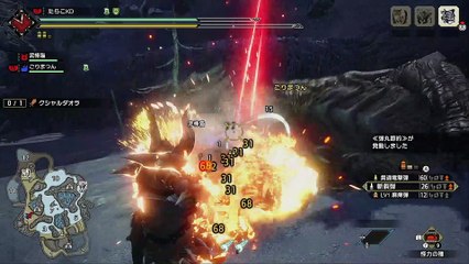 【MHRize】嵐に舞う黒い影 5分58秒 デュオ 漸裂弾速射ライト クシャルダオラ TA【モンハンライズ】