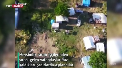 Tarım işçilerinden sırası gelenler kaldıkları çadırlarda aşılandı