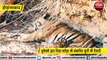 होशंगाबाद : सतपुड़ा टाइगर रिजर्व पहुंचे वन मंत्री विजय शाह
