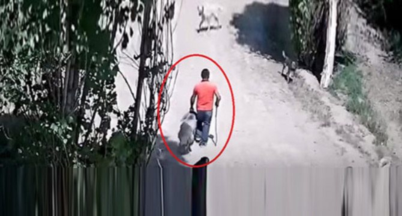 İğrenç iddia! Sosyal medyada paylaşılan bu görüntü infial yarattı