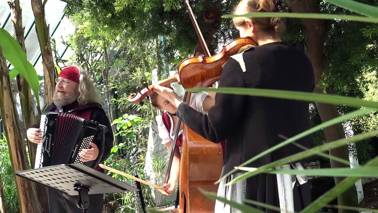 Wenn Ich mit meinem Dackel (Hans Lang) | Wiener Kabinett Orchester  |  Matinee´  im Glashaus
