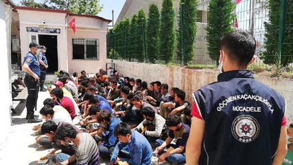 İKİ MİNİBÜSTE BALIK İSTİFİ TAŞINAN 74 KAÇAK GÖÇMEN YAKALANDI