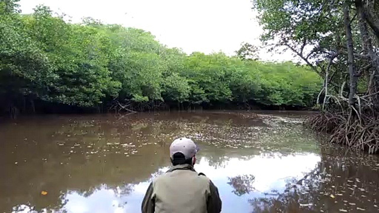RUYOKAN RIVER