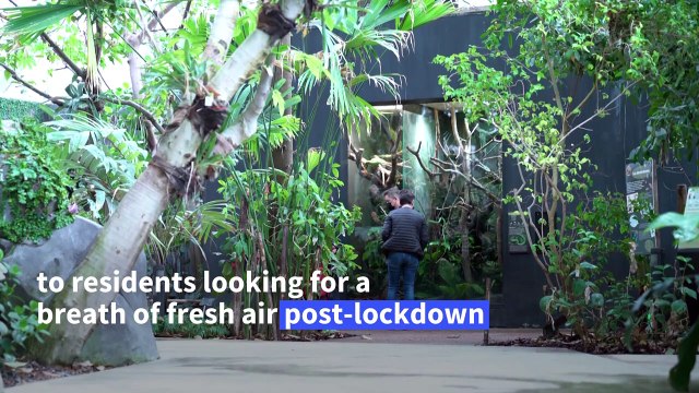 Reopened Paris Zoo provides respite after a difficult lockdown