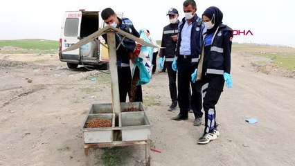 VAN ERCİŞ'TE, KISITLAMADA SOKAK HAYVANLARINI BESLEDİLER