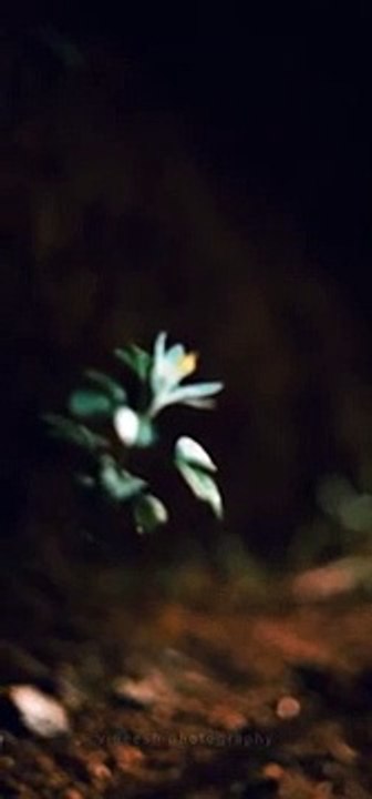 Are to connected?