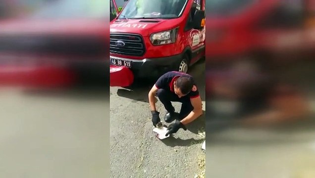 KAHRAMNAMARAŞ - Apartman boşluğuna düşen kediyi itfaiye kurtardı