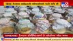 Rs.1.5 lakh_ Kg_ Gujarat Institute of Desert Ecology develops rare mushrooms, Kutch  _ TV9News
