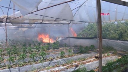 ANTALYA'DA SERALARIN YAKININDAKİ SAZLIK YANGINI 3 SAATTE SÖNDÜRÜLDÜ