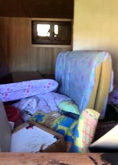 Rize'de aç kalan ayı evin altını üstüne getirdi