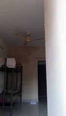 Entry scene just for fun!