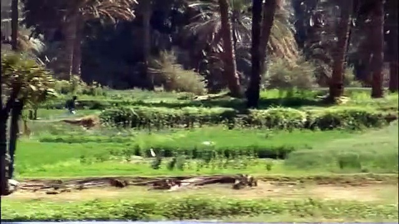 Ep 1 - The Band of Peace