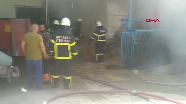 Son dakika haber... KOCAELİ BESİ ÇİFTLİĞİNİN SAMANLIĞINDA ÇIKAN YANGIN KORKUTTU
