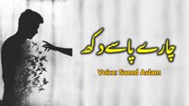 Chaaray Passay Dukh By Saeed Aslam | Punjabi Poetry WhatsApp status | Poetry status | Poetry TikTok