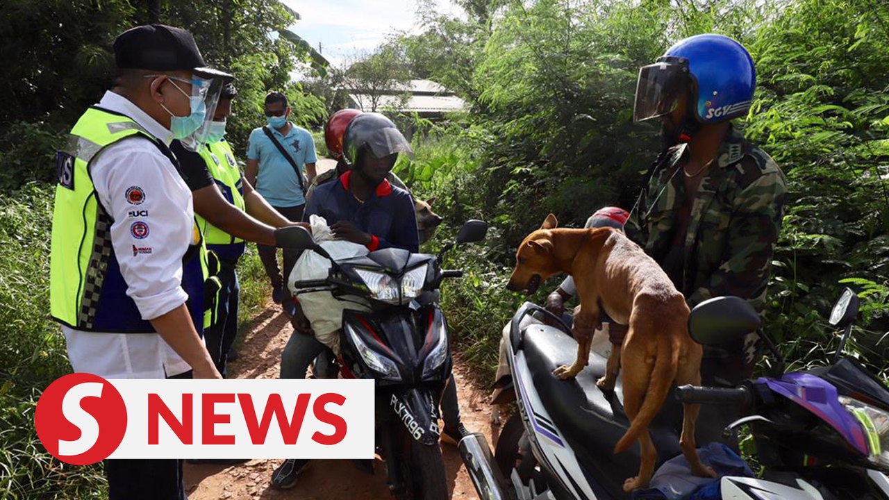 Fifteen fined RM5,000 each for violating interstate travel ban in Penang