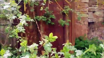 Lost Place der Hufschmied mit Adresse