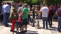 Αθήνα: Διαδήλωση για τα ζώα συντροφιάς