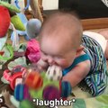 Funny babies annoying dogs - Cute dog & baby compilation Viral TRND Videos