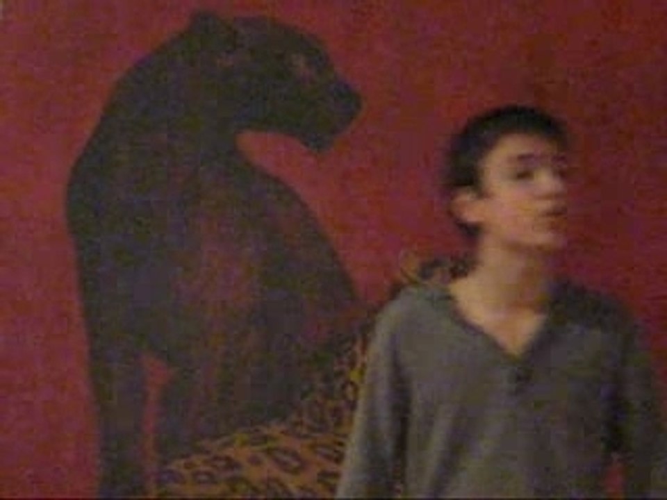 Montage