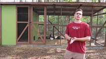 Walk-In Chicken Coop And Run Designed For 12 Hens