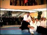 Martial Arts - aikido vs karate