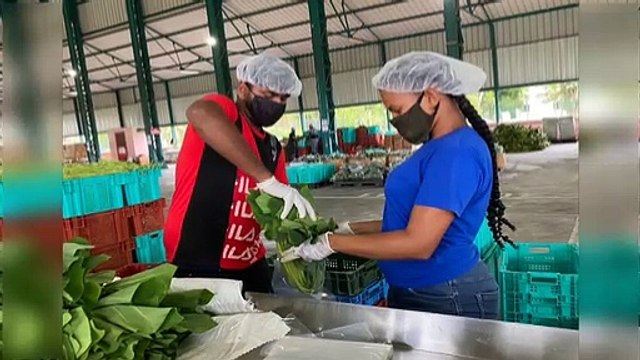 UNC: Is NAMDEVCO Distributing Cheques?