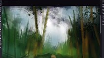 Bamboo Forest - Speed Painting (#Photoshop) | Creativestation Gm