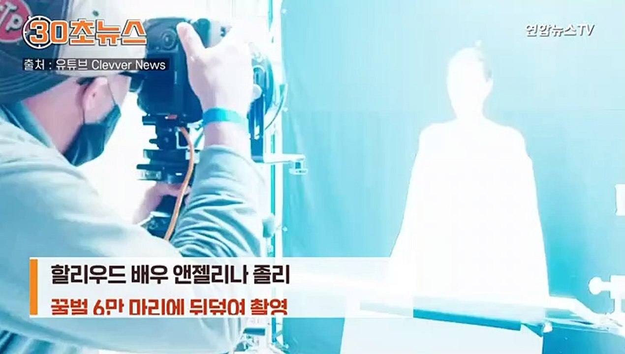 [30초뉴스] 꿀벌에 뒤덮인 졸리…샤워도 안 한 이유는?
