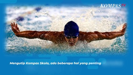 Mengenal Renang Gaya Kupu-Kupu: Teknik dan Hal yang Penting Diperhatikan