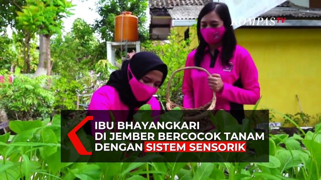 Ibu Bhayangkari di Jember Bercocok Tanam dengan Sistem Sensorik