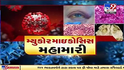 A'bad faces acute shortage of Amphotericin B, drug used to treat black fungus, as cases rise in city