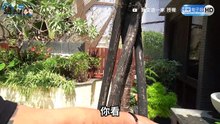 用泡麵修補家具？魚缸破洞直接用泡麵修