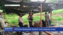 Petugas Gabungan Bongkar Tempat Judi Sabung Ayam