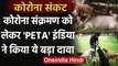Corona Update India: PETA India ने कोरोना संक्रमण पर किया ये बड़ा दावा | वनइंडिया हिंदी
