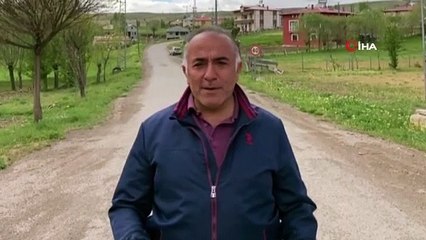 Aç kalıp köye inen yavru ayı böyle görüntülendi