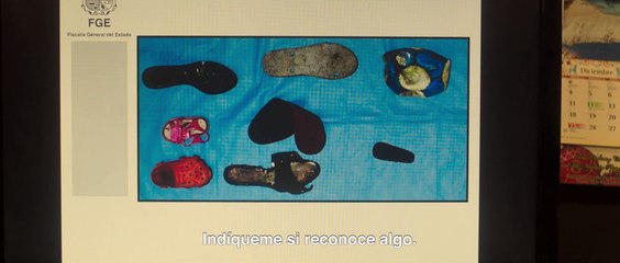 Sin Señas Particulares Película