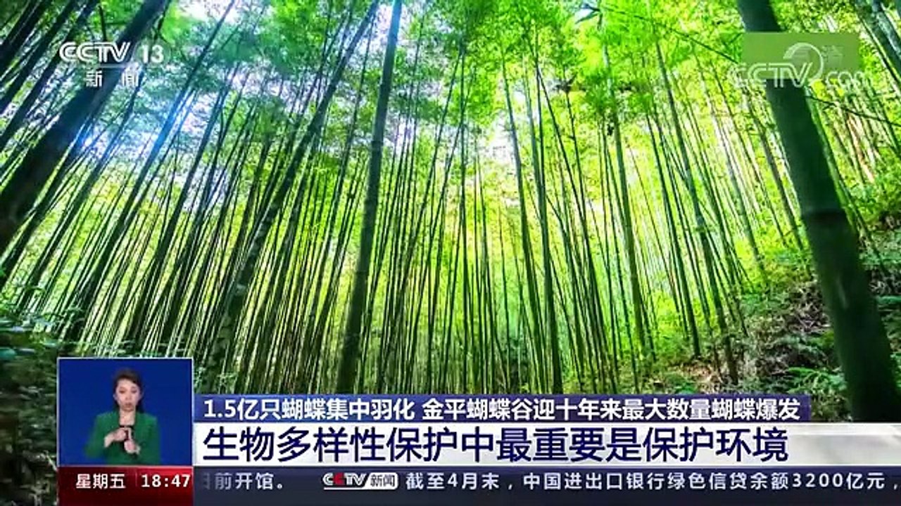 小知識大智慧 Knowledge To Wisdom + 法治在线