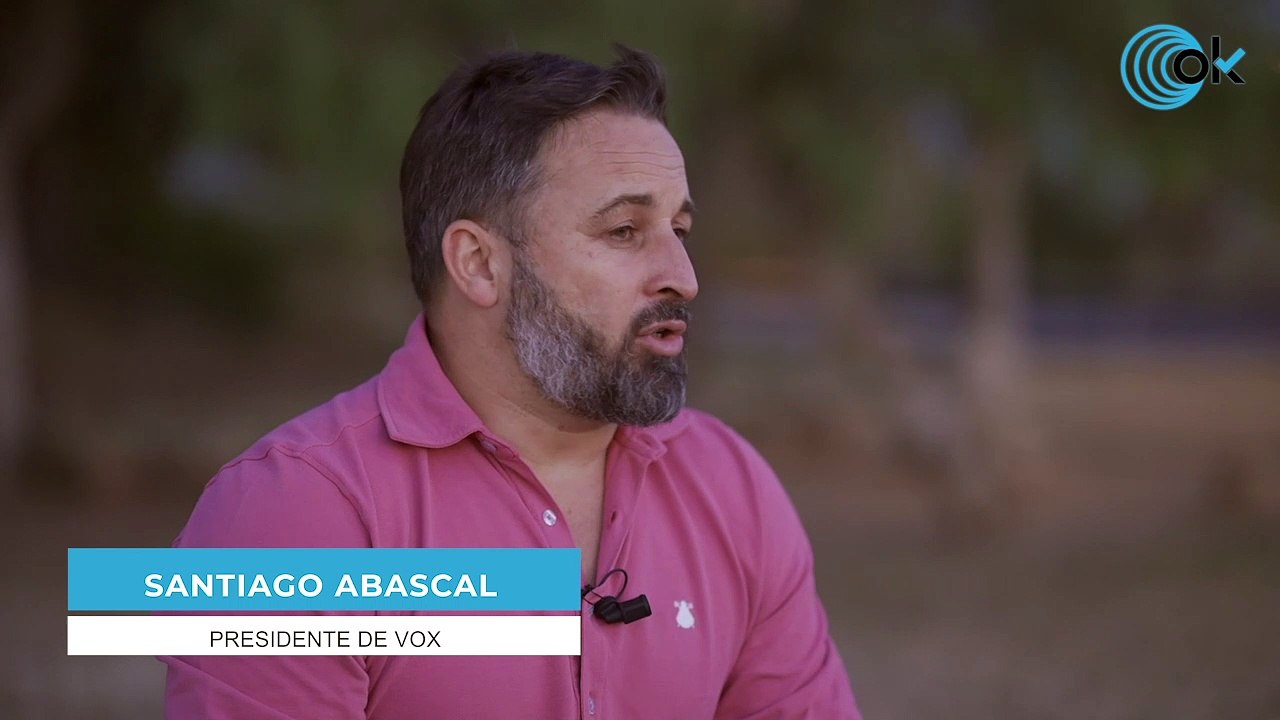 Abascal confirma el fin del apoyo a Juanma Moreno: "La Junta tendrá que negociar Presupuestos con el PSOE"