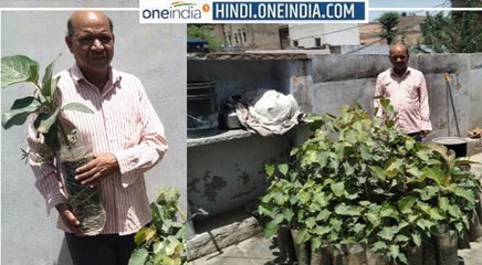 Gopal Sharma Khetri : राजस्थान के 'ऑक्सीजन बाबा' ने 46 साल में बांटे बरगद-पीपल के 20 हजार पौधे
