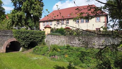 Alte Steine, junges Leben / Ancient Stones, young life